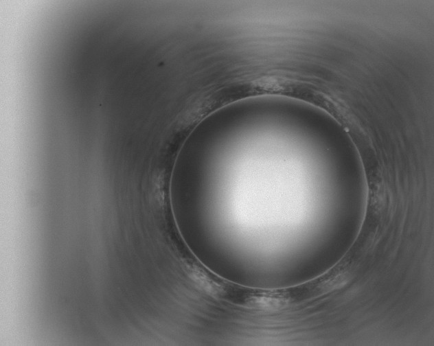 X0000072940466200607282208