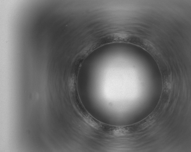 X0000072940468200607282208