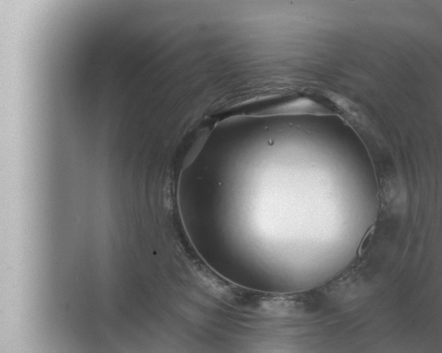 X0000072940470200607282208