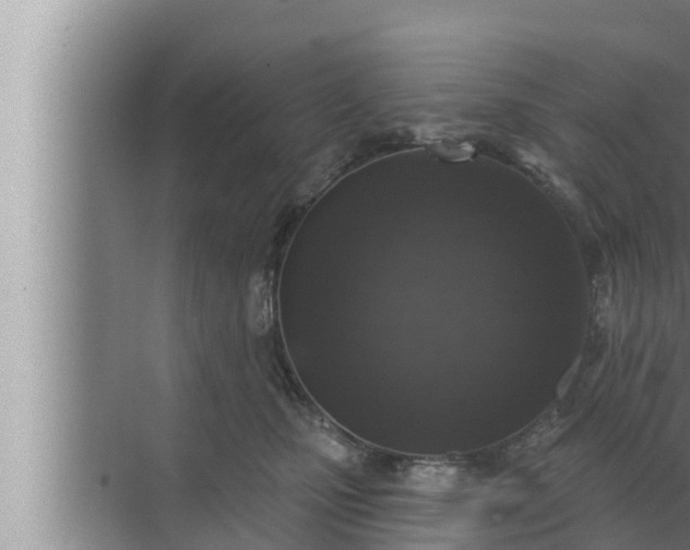 X0000072940471200607282208