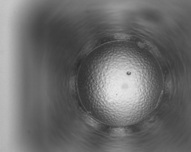 X0000072940473200607282208