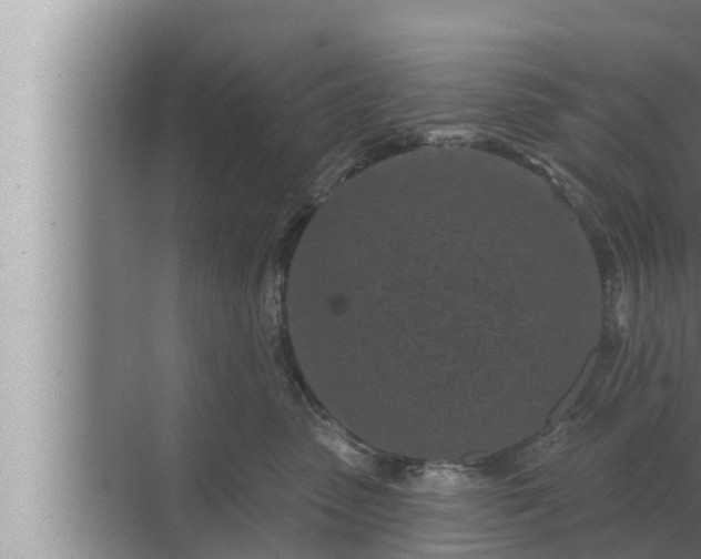 X0000072940475200607282208