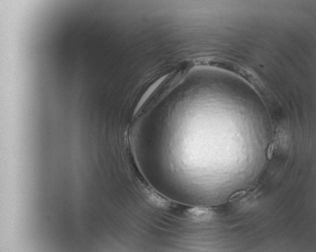 X0000072940477200607282208