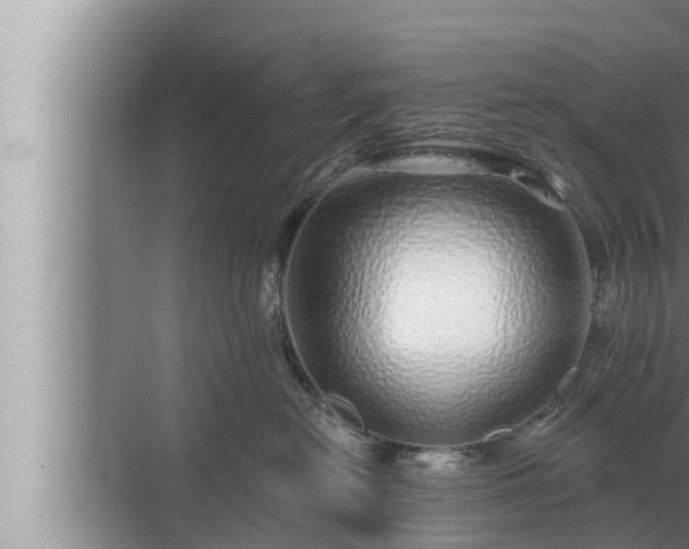 X0000072940478200607282208