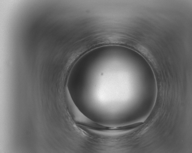 X0000072940481200607282207