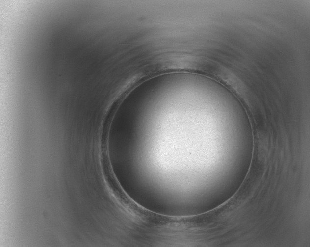 X0000072940482200607282207