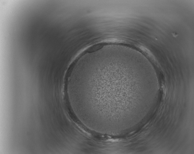 X0000072940484200607282207