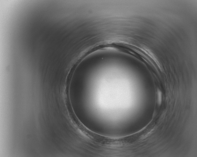 X0000072940485200607282207