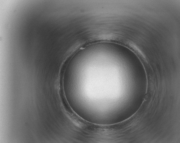 X0000072940486200607282207