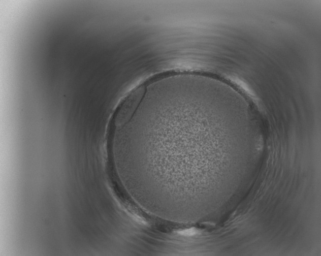 X0000072940488200607282207