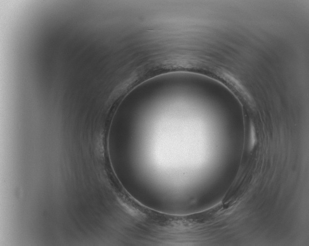 X0000072940489200607282207