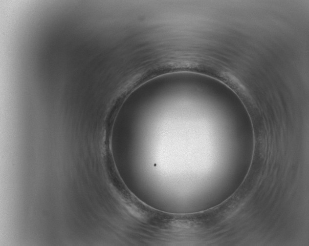 X0000072940490200607282207