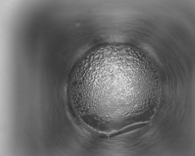 X0000072940491200607282207