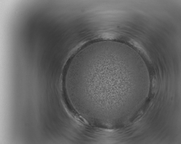 X0000072940492200607282207