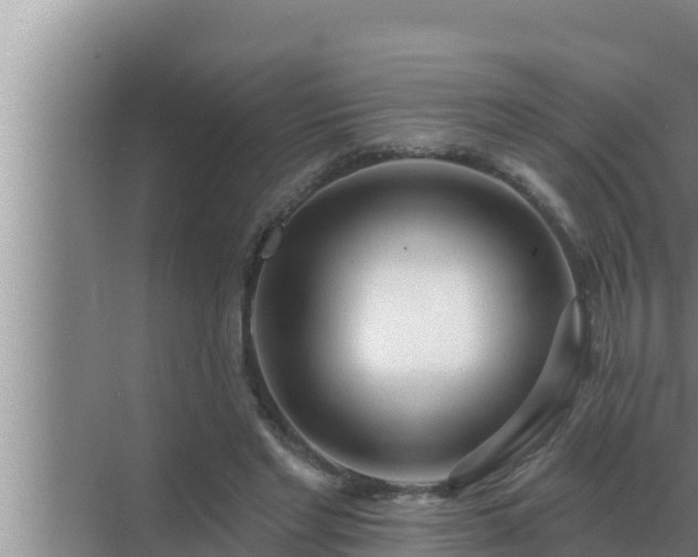 X0000072940493200607282207