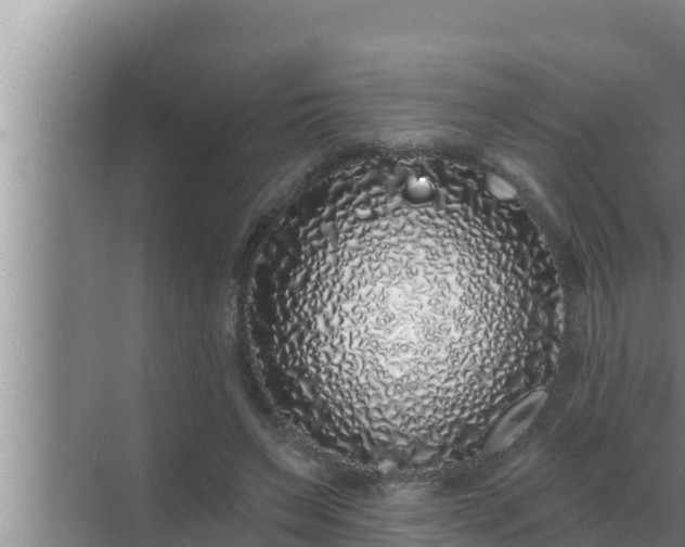 X0000072940495200607282207