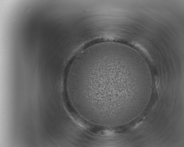 X0000072940496200607282207