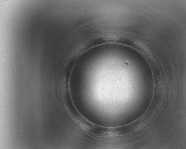 X0000072940498200607282207