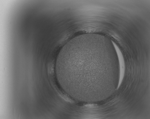 X0000072940499200607282207