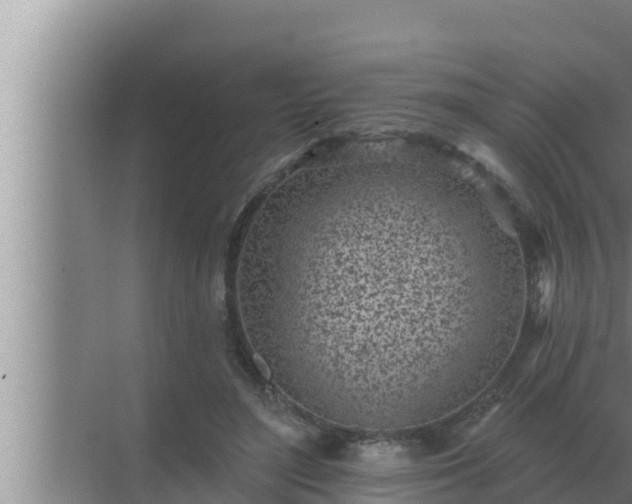 X0000072940500200607282207