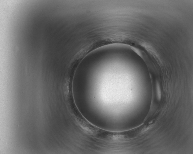 X0000072940501200607282207