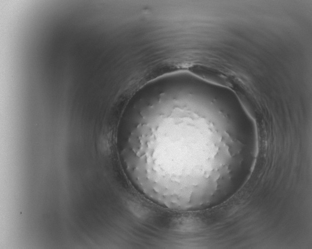 X0000072940503200607282207