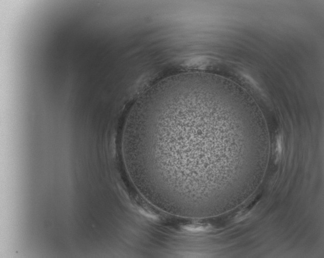 X0000072940504200607282207