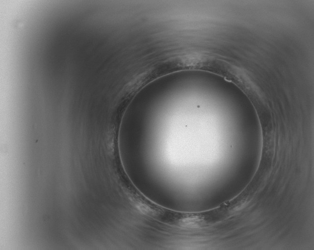 X0000072940505200607282207