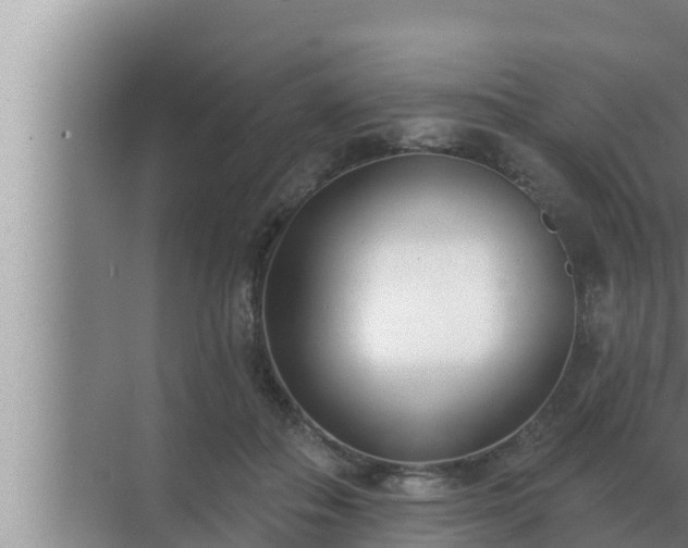 X0000072940506200607282207