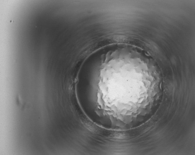 X0000072940507200607282207