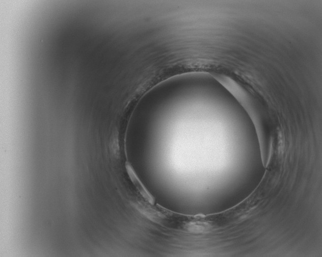 X0000072940508200607282207