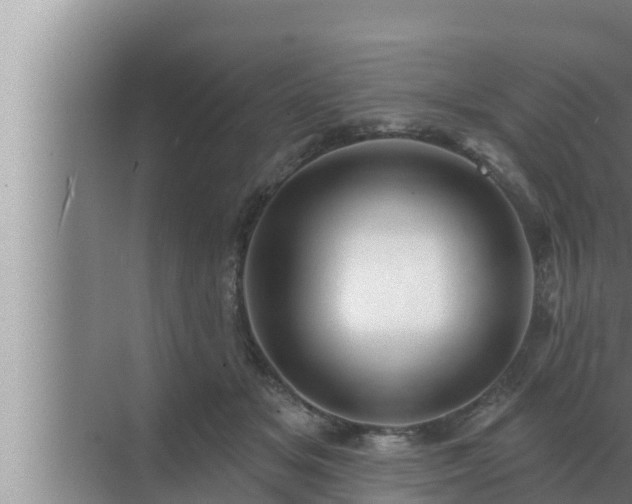 X0000072940509200607282207