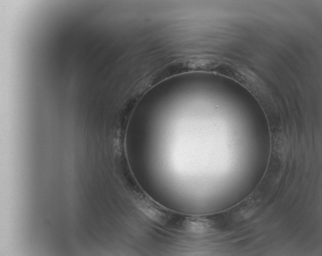 X0000072940510200607282207