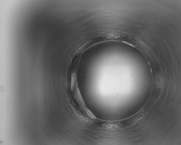 X0000072940512200607282207