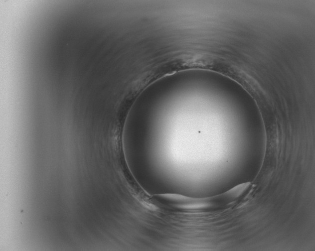 X0000072940513200607282207