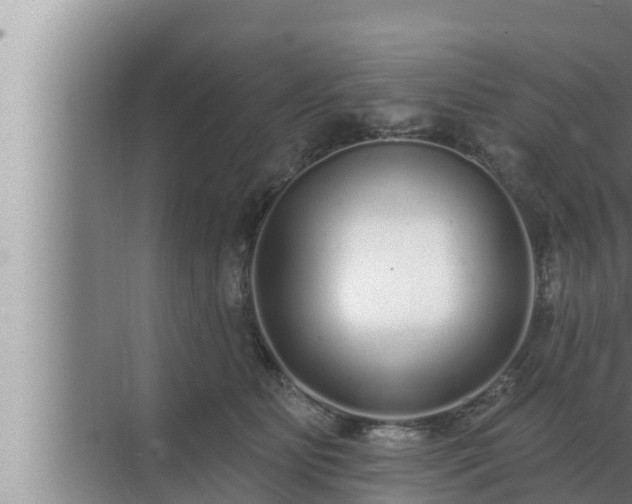 X0000072940515200607282207