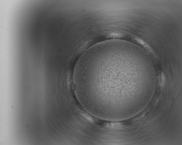 X0000072940517200607282207