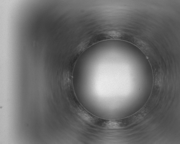 X0000072940518200607282207