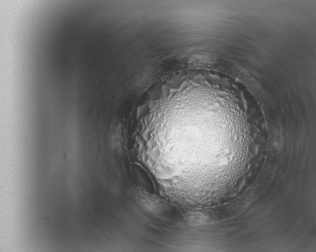 X0000072940519200607282207