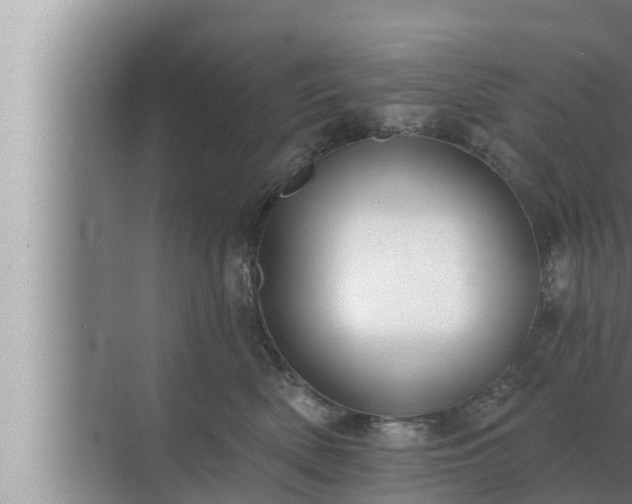 X0000072940522200607282206