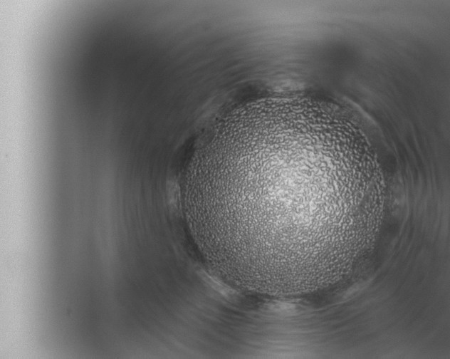 X0000072940523200607282206