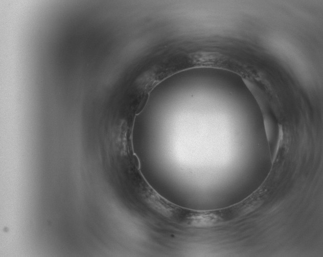 X0000072940525200607282206