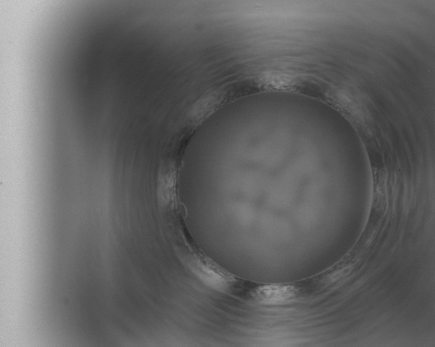 X0000072940526200607282206