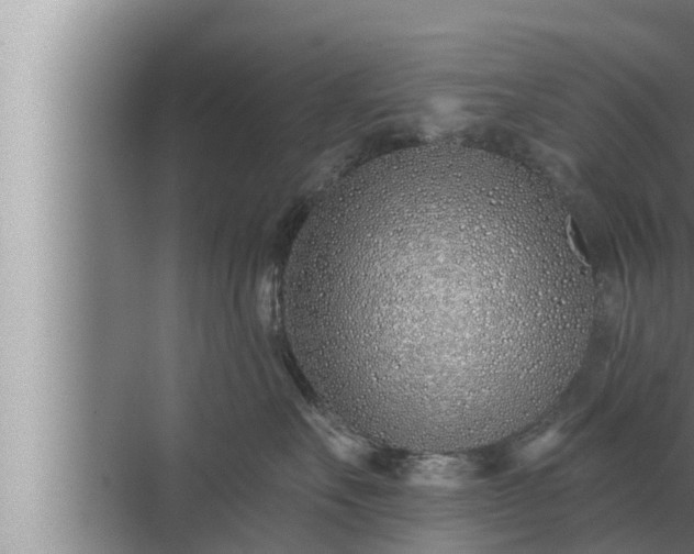 X0000072940527200607282206