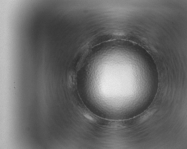 X0000072940528200607282206