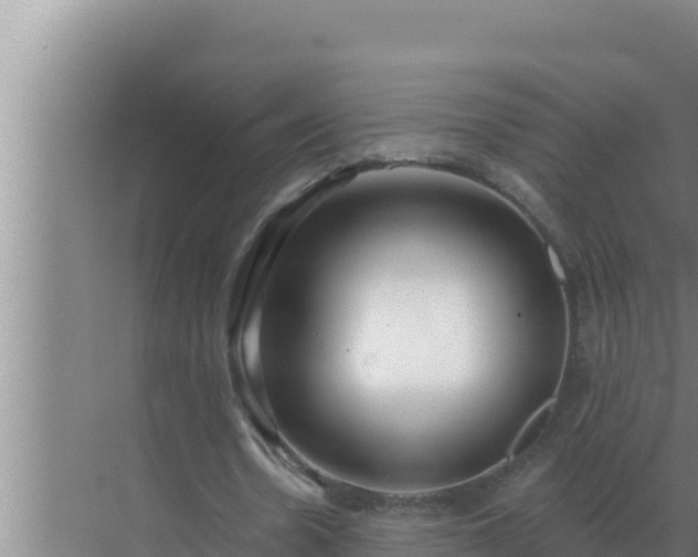 X0000072940530200607282206