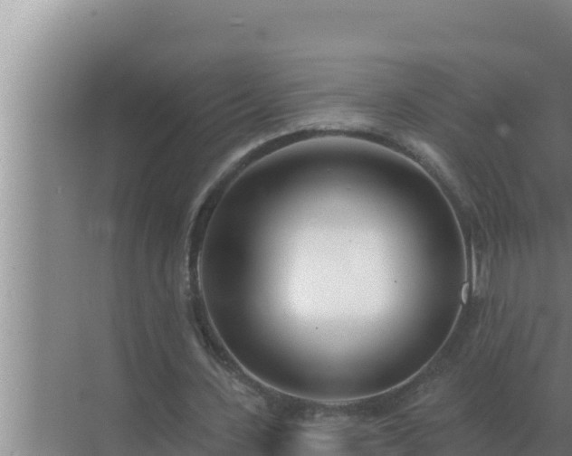 X0000072940531200607282206