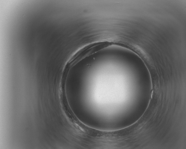 X0000072940532200607282206