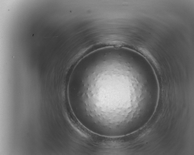 X0000072940533200607282206