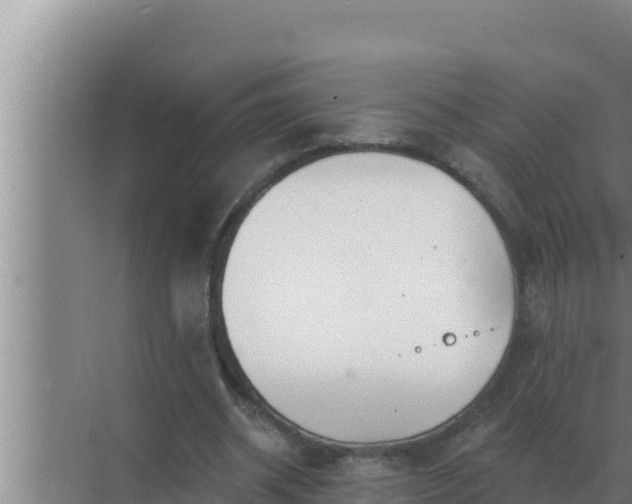 X0000072940534200607282206